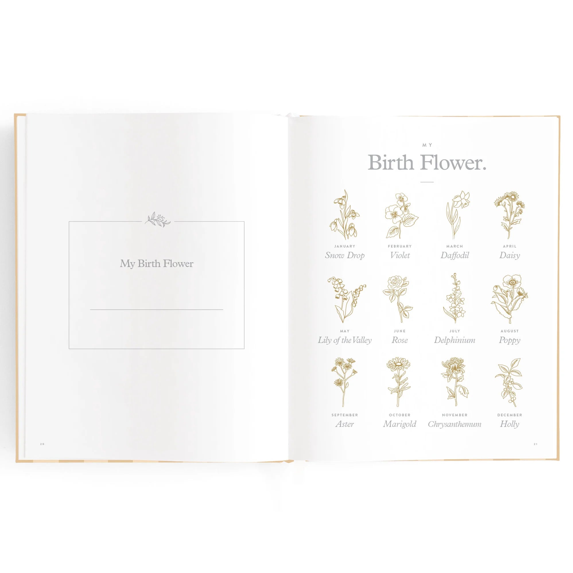 Baby Journal - Coffee Stripe - Fox & Fallow