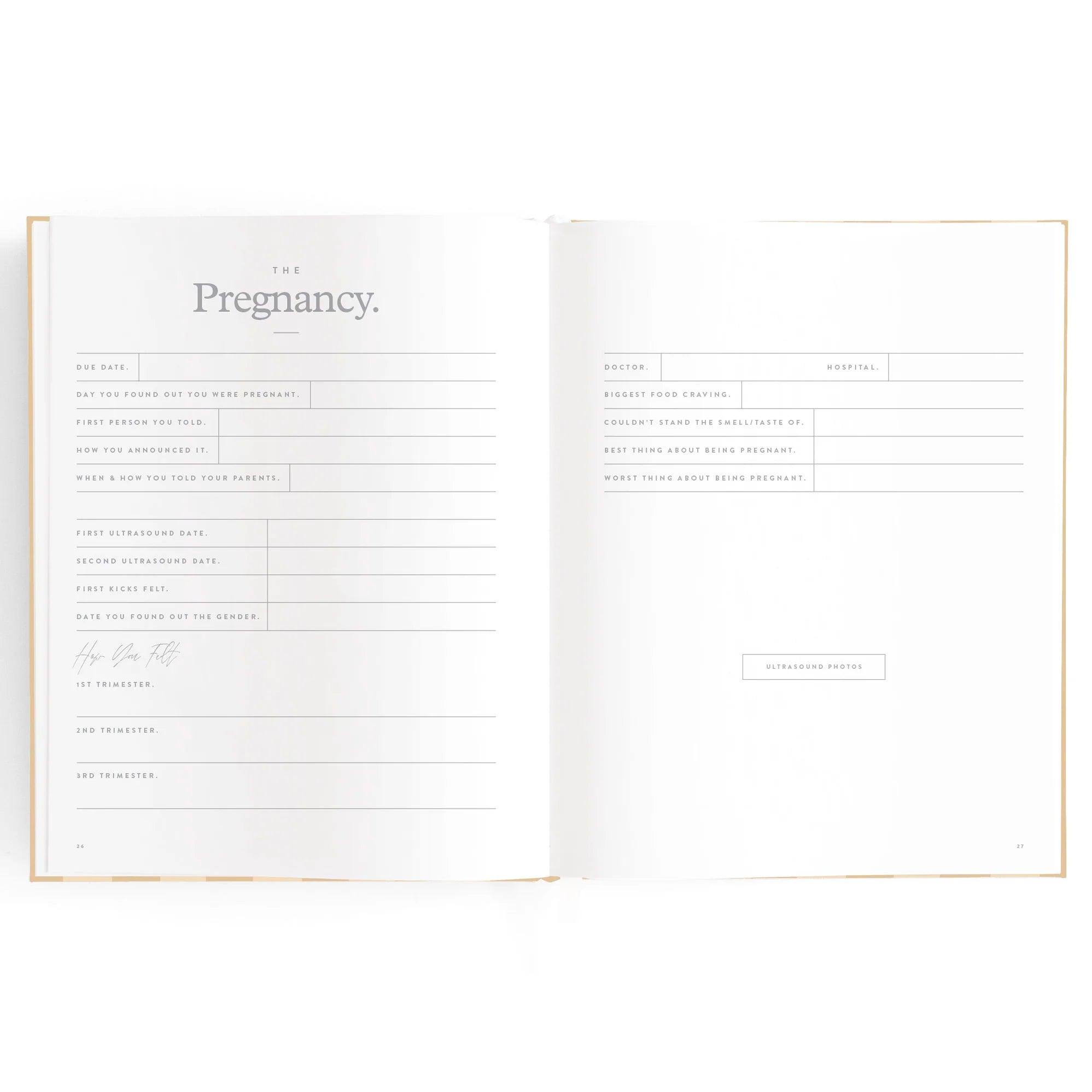 Baby Journal - Coffee Stripe - Fox & Fallow