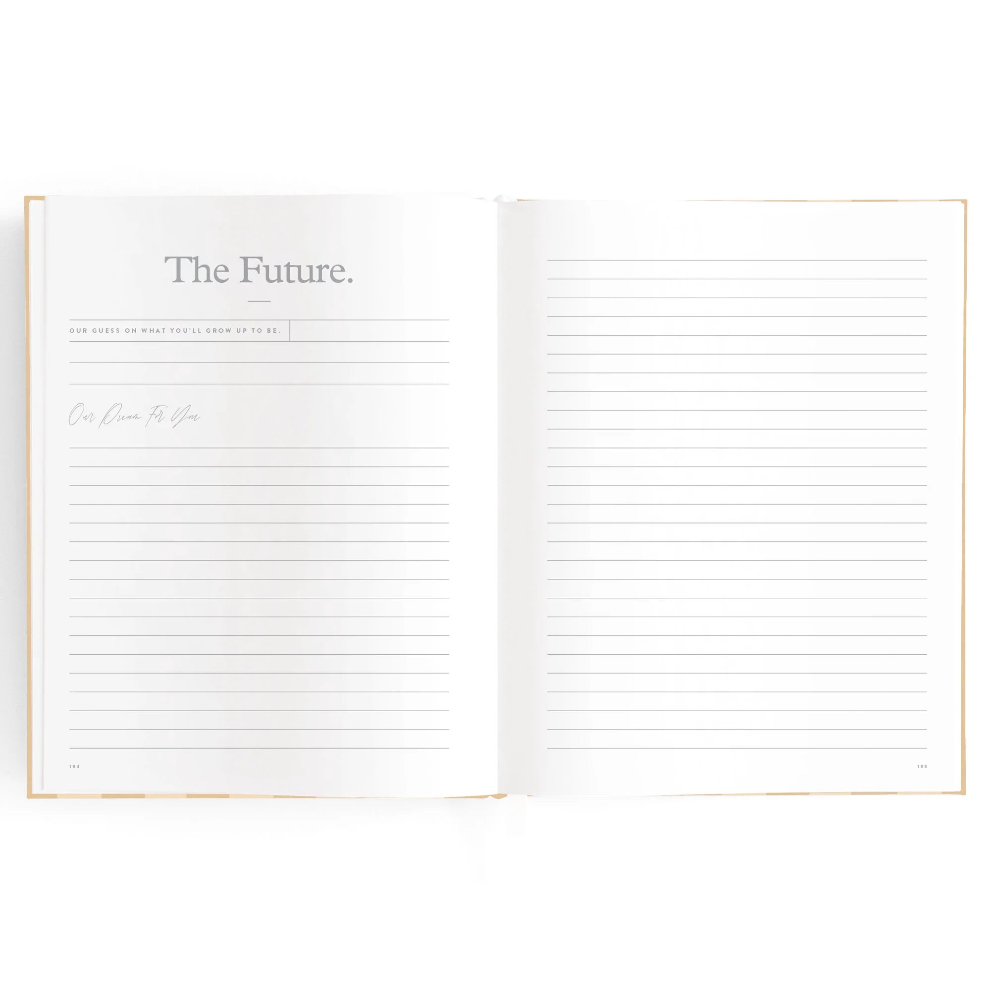 Baby Journal - Coffee Stripe - Fox & Fallow