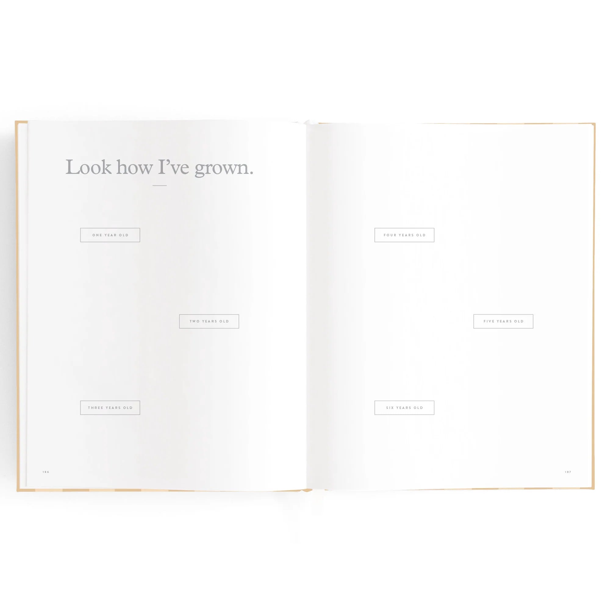 Baby Journal - Coffee Stripe - Fox & Fallow