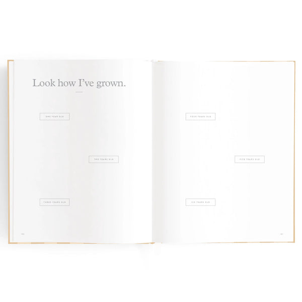 Baby Journal - Coffee Stripe - Fox & Fallow