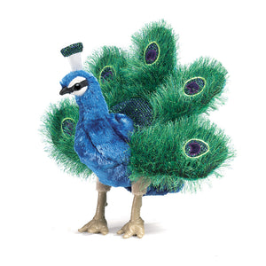 Small Peacock Puppet - Folkmanis DISCOUNTED
