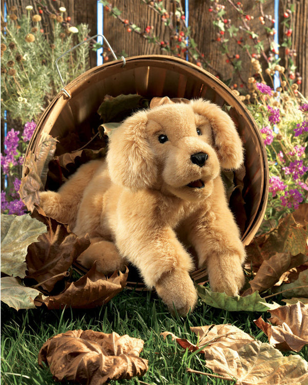 Golden Retriever Puppy Puppet - Folkmanis DISCOUNTED