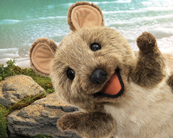 Quokka Puppet - Folkmanis - DISCOUNTED