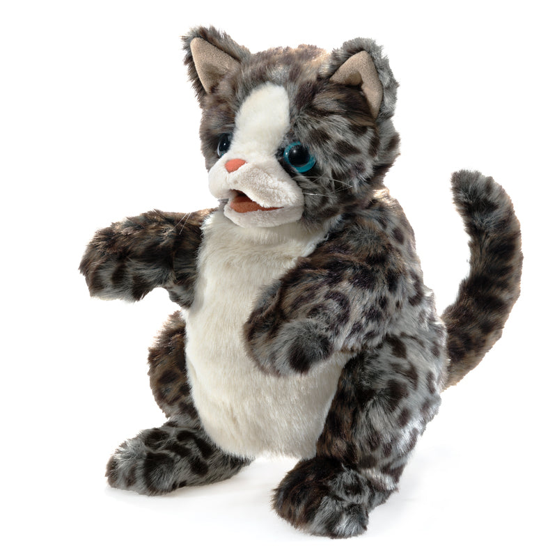 Wildcat Kitten Puppet - Folkmanis - DISCOUNTED