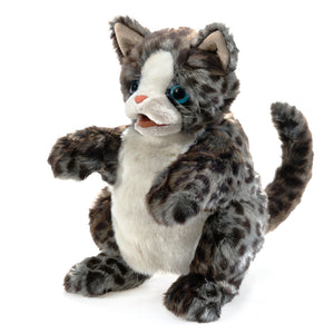 Wildcat Kitten Puppet - Folkmanis - DISCOUNTED