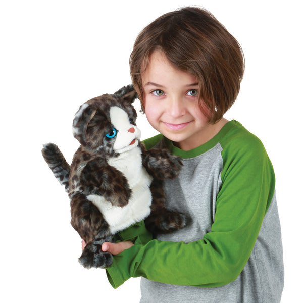 Wildcat Kitten Puppet - Folkmanis - DISCOUNTED