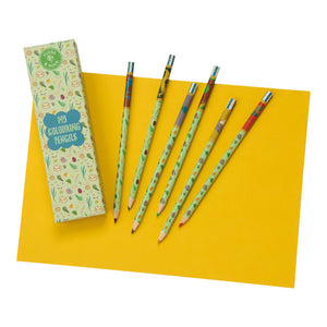 My Colouring Pencils - Dinosaur - Floss & Rock