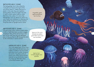 Glow-in-the-Dark Night & Day Puzzle & Book Set - Sea - Sassi