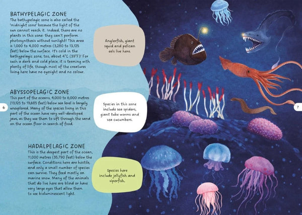 Glow-in-the-Dark Night & Day Puzzle & Book Set - Sea - Sassi