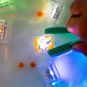 Limited Edition Light-Up Cubes, 6-Pack Zoo Animals - GLO Pals