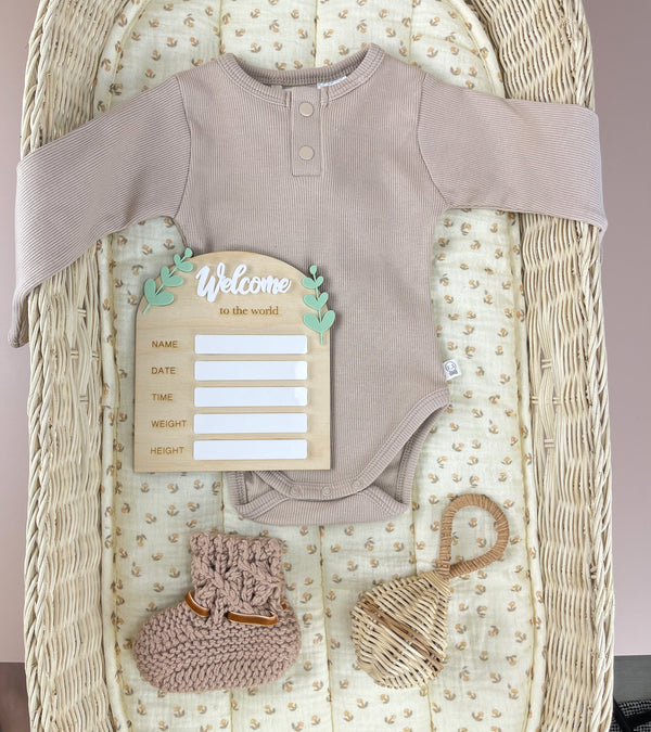 Birth Plaque - Welcome to the World - Leafy Acrylic - Luma Light