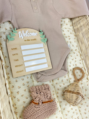 Birth Plaque - Welcome to the World - Leafy Acrylic - Luma Light