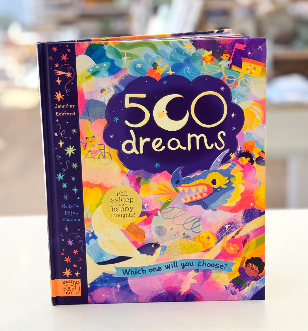 500 Dreams - Which One Will You Choose? Book