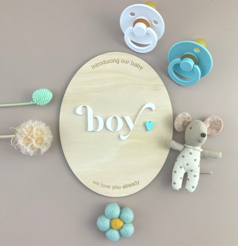 Introducing our Baby Boy - Birth Announcement Plaque - Luma Light