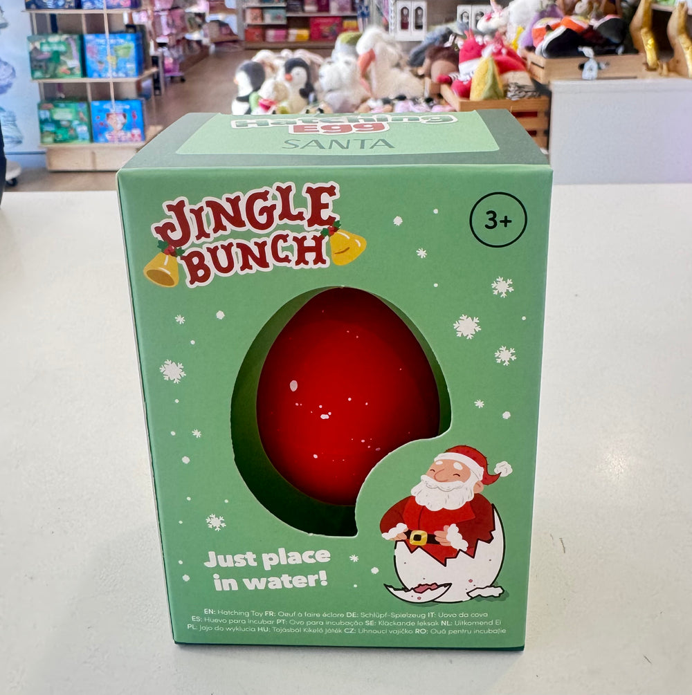 Christmas Hatching Egg - Wonder Imports