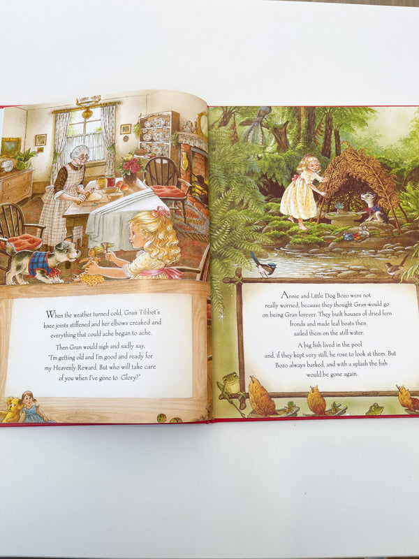 Rainbow Magic Book - Hardback - Shirley Barber