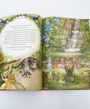 Rainbow Magic Book - Hardback - Shirley Barber