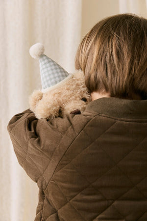 Snuggle Bunnies - Birthday Arthur - Gingham - Jamie Kay