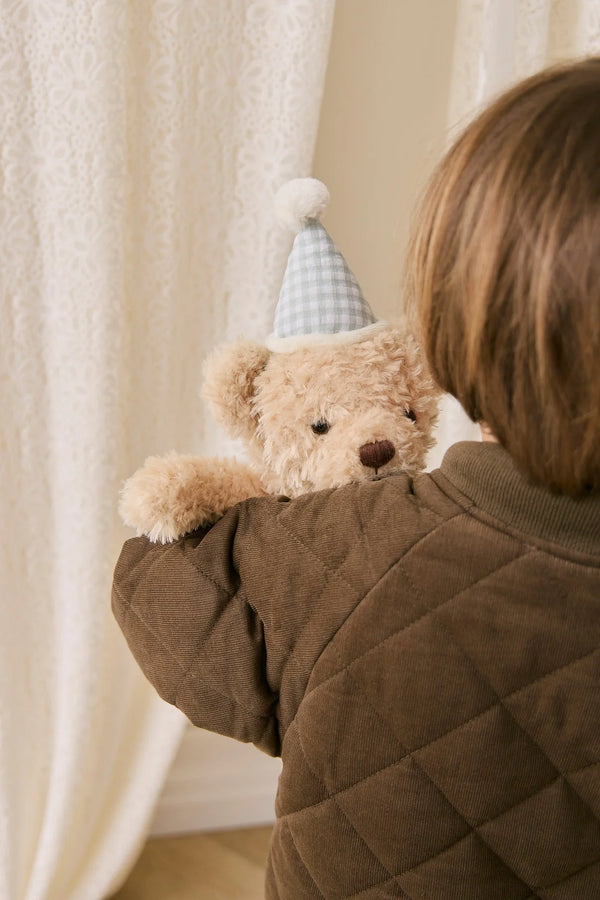 Snuggle Bunnies - Birthday Arthur - Gingham - Jamie Kay
