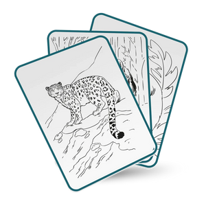 Kidydraw-pad - Animals - KidiWolf