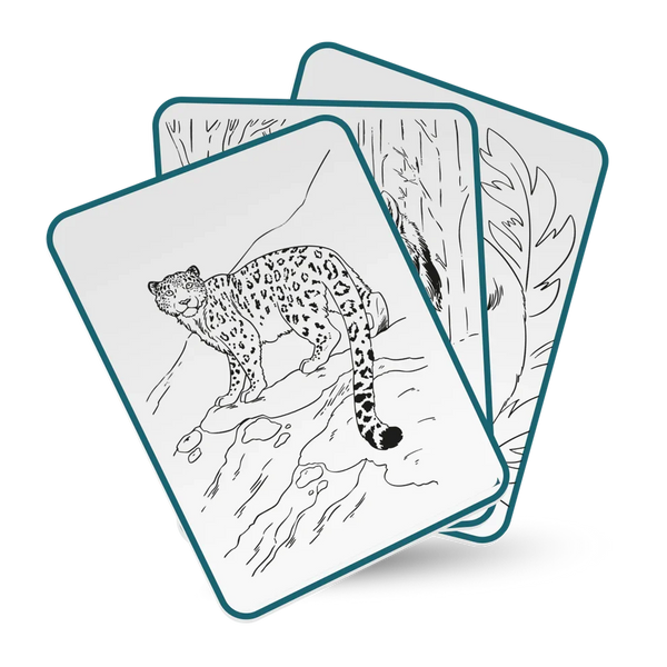Kidydraw-pad - Animals - KidiWolf