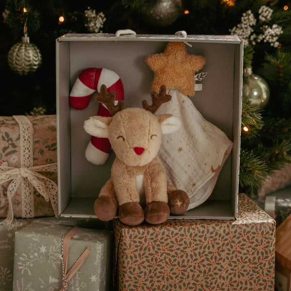 Christmas Newborn Giftset - Little Dutch