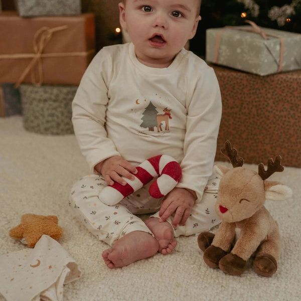 Christmas Newborn Giftset - Little Dutch