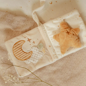 Little Goose Stroller Book - Little Dutch