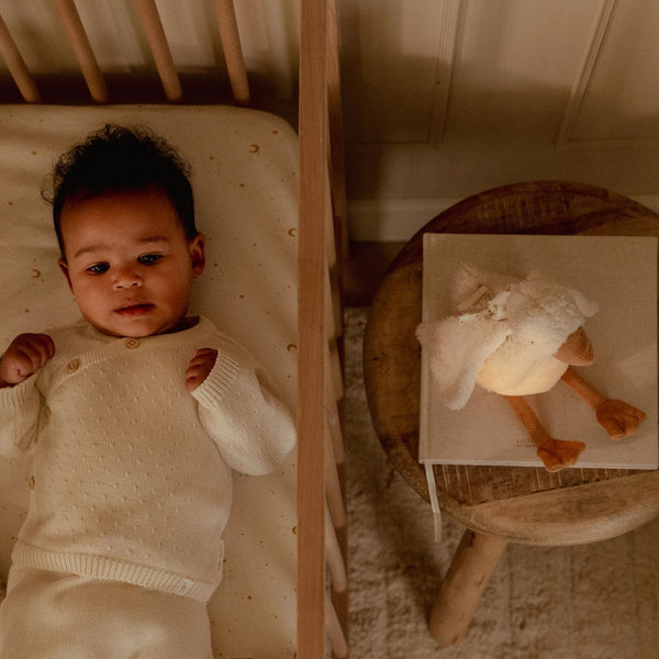 Cuddle Goose Light & Sound - Little Dutch