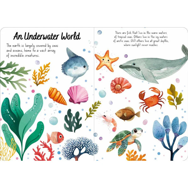 Magic Water Puzzle & Book Set - The Sea - Sassi