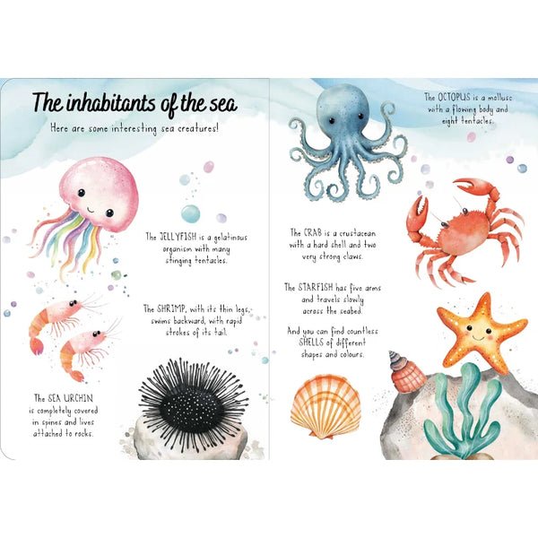 Magic Water Puzzle & Book Set - The Sea - Sassi