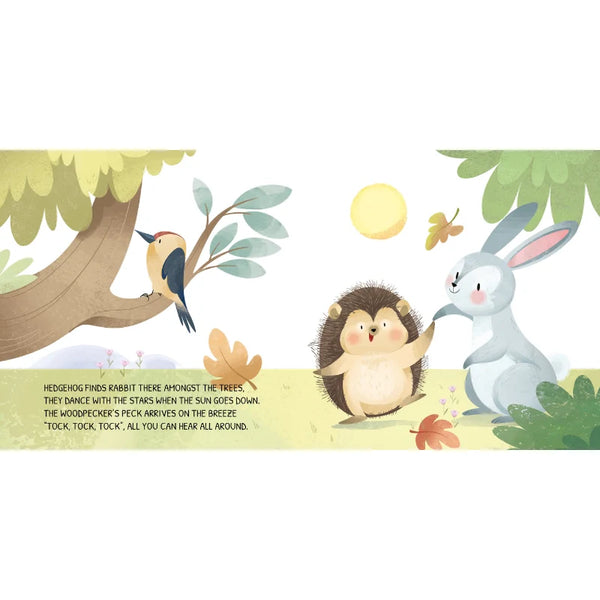 Board Book - Glow-In-The-Dark - The Woodland - Sassi