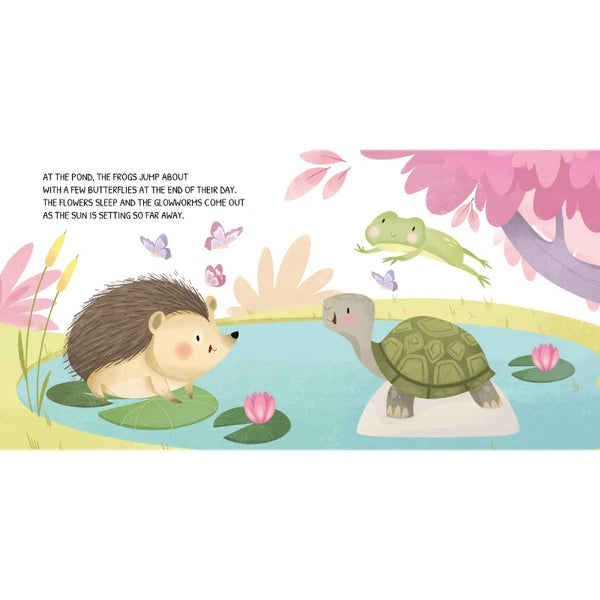 Board Book - Glow-In-The-Dark - The Woodland - Sassi