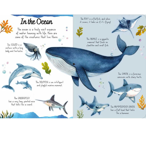 Magic Water Puzzle & Book Set - The Sea - Sassi