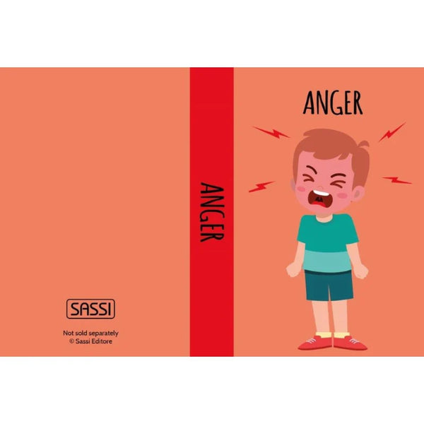 My First Library Board Books - Emotions - Sassi