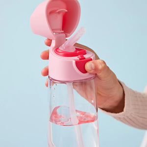 Triton Drink Bottle - Flamingo Fizz - B Box