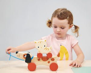 Kitten on Wheels - Mentari