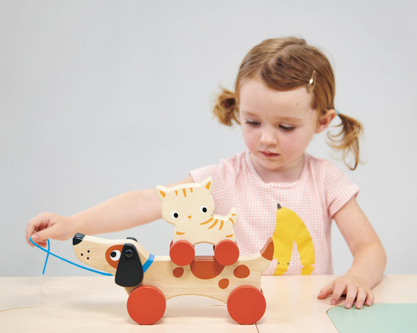 Kitten on Wheels - Mentari