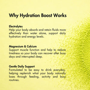 Lemon Lime Hydration Boost | 10 Single Serves - Milky Goodness