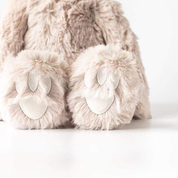 Sloth Kin - Soft Toy + Books - Slumberkins