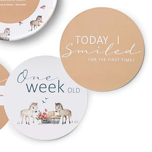 Pony Pals & Pebble Reversible Milestone Cards - Snuggle Hunny