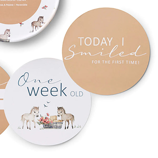 Pony Pals & Pebble Reversible Milestone Cards - Snuggle Hunny