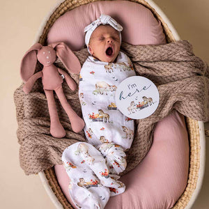 Pony Pals & Pebble Reversible Milestone Cards - Snuggle Hunny