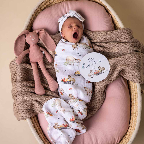 Pony Pals & Pebble Reversible Milestone Cards - Snuggle Hunny