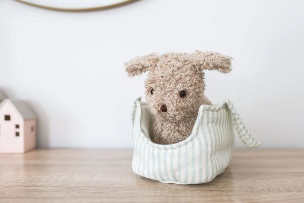 Biscuit the Puppy in Carrier - Alimrose