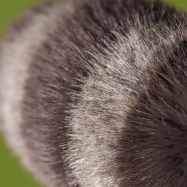 Trixiwoo Raccoon - Jellycat