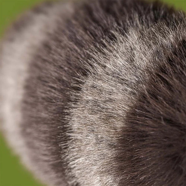 Trixiwoo Raccoon - Jellycat