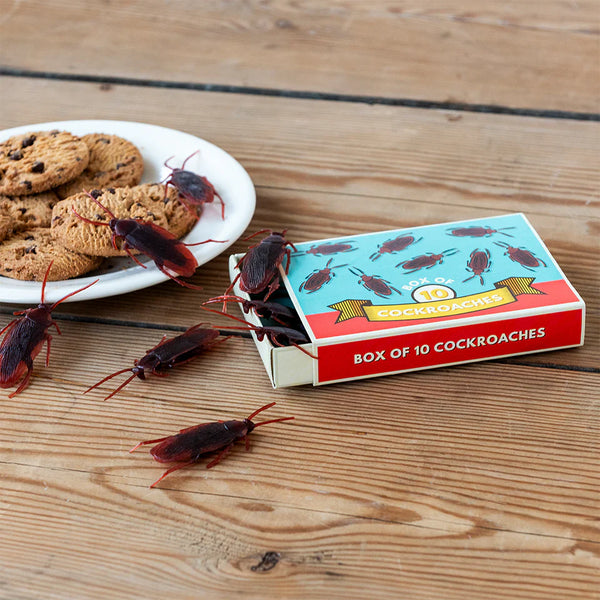 Classic Jokes - Cockroaches/Box of 10 - Rex London