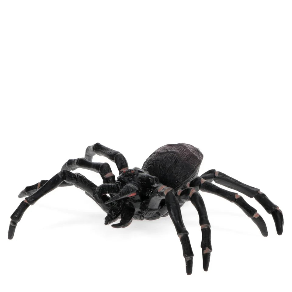 Realistic Toy - Tarantula - Rex London